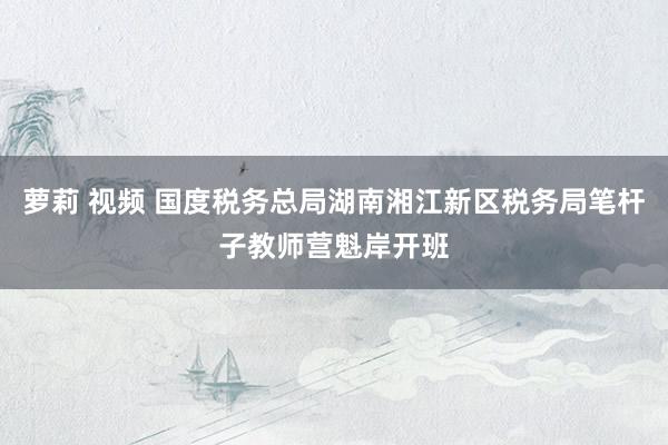 萝莉 视频 国度税务总局湖南湘江新区税务局笔杆子教师营魁岸开班