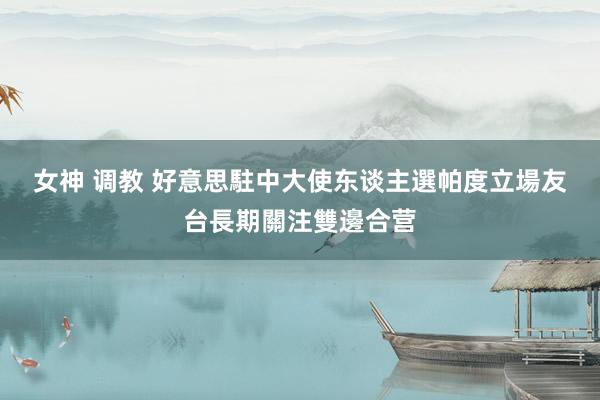 女神 调教 好意思駐中大使东谈主選帕度　立場友台長期關注雙邊合营