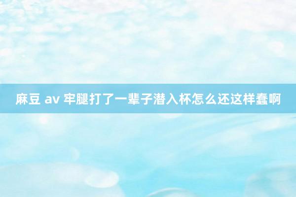 麻豆 av 牢腿打了一辈子潜入杯怎么还这样蠢啊