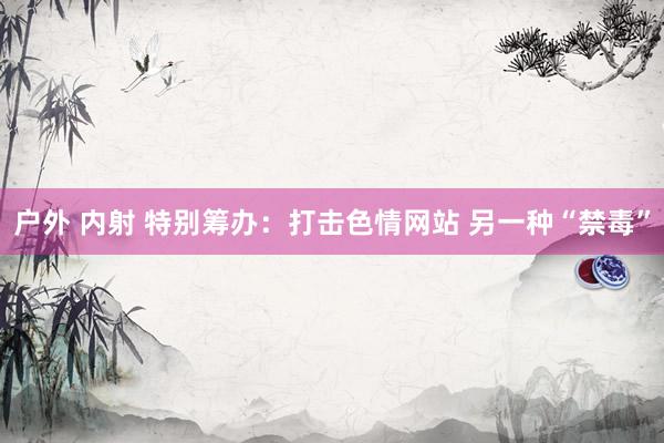 户外 内射 特别筹办：打击色情网站 另一种“禁毒”